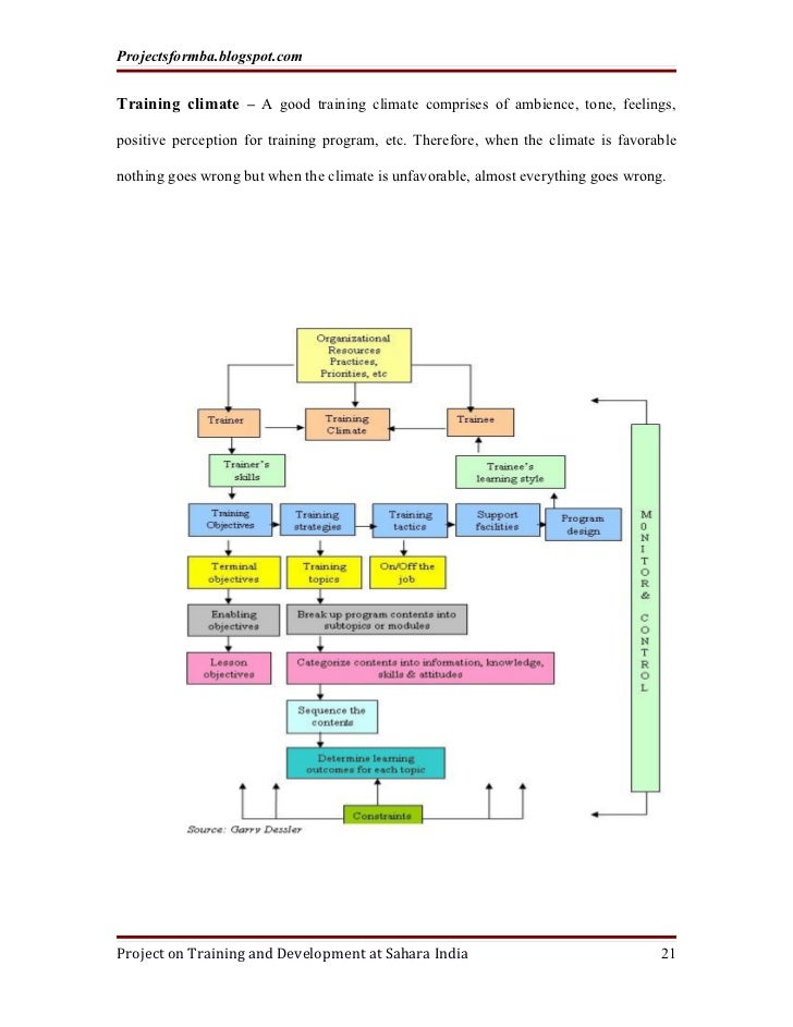 dissertation report on training and development