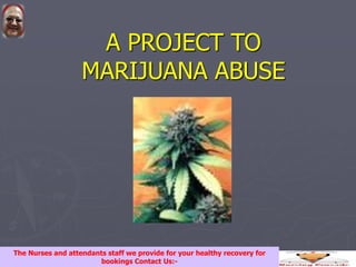 A PROJECT TO
MARIJUANA ABUSE
The Nurses and attendants staff we provide for your healthy recovery for
bookings Contact Us:-
 