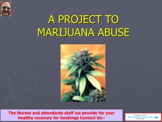 A PROJECT TO
MARIJUANA ABUSE
The Nurses and attendants staff we provide for your
healthy recovery for bookings Contact Us:-
 