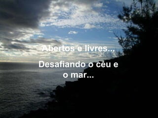 Abertos e livres... Desafiando o céu e o mar... 