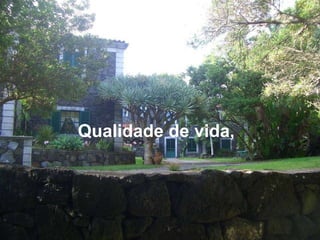 Qualidade de vida, 
