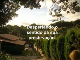 Despertando o sentido da sua preservação. 