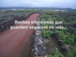 Rochas silenciosas que
guardam segredos da vida...
 