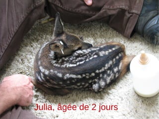 Julia, âgée de 2 jours 