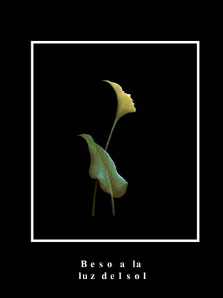 Beso a la luz del sol 