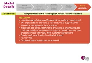 Model
Details
Characteristics

Startup
(Existence & Business
Viability)

Survival
(Early-Stage
Growth &
Strategic Focus)

Success
(Accelerating
Growth &
Systems
Building)

Take-Off
(Sustaining
Growth &
Expansion)

Maturity
(Corporate
Management)

Listing the characteristics describing each maturity level and unique to it

Maturity

 A well-managed structured framework for strategy development
 The organizational structure is well-matured to support formal
innovation management best practices
 Marketing and sales departments are linked to engineering and
customer relations departments to support development of new
product/services that really meet customer expectations
 Quality and control policy is critically followed
 Formal R&D
 Employee talent development framework

 