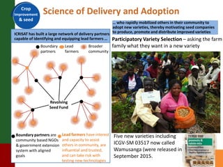 A prosperous and nutritionally secure drylands through demand-driven innovation 