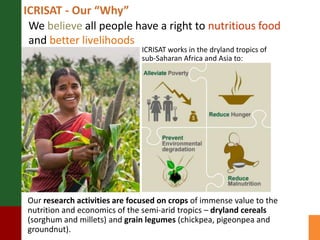 A prosperous and nutritionally secure drylands through demand-driven innovation 