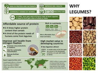 WHY
LEGUMES?
 