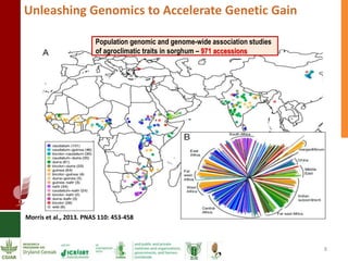 A prosperous and nutritionally secure drylands through demand-driven innovation 