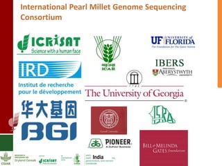 A prosperous and nutritionally secure drylands through demand-driven innovation 