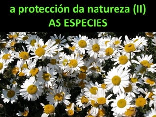 a protección da natureza (II)
AS ESPECIES
 