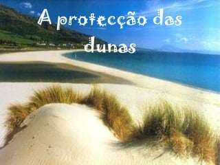 A protecção das dunas 
