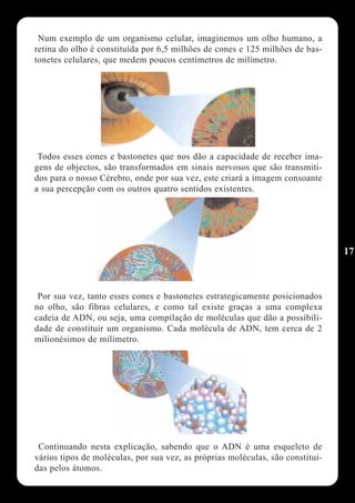 Num exemplo de um organismo celular, imaginemos um olho humano, a
retina do olho é constituída por 6,5 milhões de cones e 125 milhões de bas-
tonetes celulares, que medem poucos centímetros de milímetro.




 Todos esses cones e bastonetes que nos dão a capacidade de receber ima-
gens de objectos, são transformados em sinais nervosos que são transmiti-
dos para o nosso Cérebro, onde por sua vez, este criará a imagem consoante
a sua percepção com os outros quatro sentidos existentes.




                                                                                17



 Por sua vez, tanto esses cones e bastonetes estrategicamente posicionados
no olho, são fibras celulares, e como tal existe graças a uma complexa
cadeia de ADN, ou seja, uma compilação de moléculas que dão a possibili-
dade de constituir um organismo. Cada molécula de ADN, tem cerca de 2
milionésimos de milímetro.




 Continuando nesta explicação, sabendo que o ADN é uma esqueleto de
vários tipos de moléculas, por sua vez, as próprias moléculas, são constituí-
das pelos átomos.
 