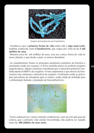 Imagem microscópica de uma Cianobactéria

 Acredita-se que a primeira forma de vida tenha sido a alga azul-verde,
também conhecida como Cianobactéria, que surgiu por volta de há 2 mil
milhões de anos.
 Durante cerca de mil milhões de anos, esta era a única forma de vida no
nosso planeta, e que desde a qual, se tornou abundante.

 As cianobactérias foram os principais produtores primários da biosfera e
continuam sendo nos oceanos. A Terra continha pouco ou nenhum oxigênio       34
naquela época. Alguns cientistas consideram que a atmosfera primitiva con-
tinha apenas 0,0001% de oxigênio. O mais importante é que através da foto-
ssíntese elas encheram a atmosfera de oxigênio. Continuam sendo as princi-
pais provedoras de nitrogênio para os mares, sendo ainda de utilidade para
a alimentação humana e produção de biocombustíveis.




 Testes radioactivos e outros métodos estabelecem, com um elevado grau de
certeza, que a primeira vida animal invertebrada, não poderia ter surgido
antes de, 600 milhões de anos atrás.
 