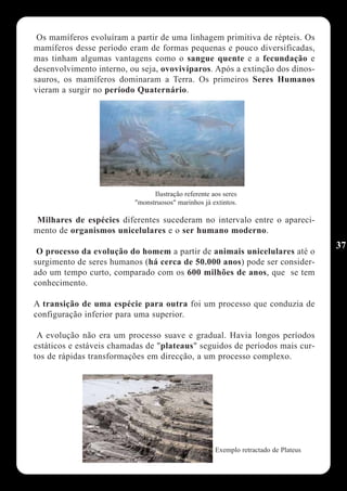 Os mamíferos evoluíram a partir de uma linhagem primitiva de répteis. Os
mamíferos desse período eram de formas pequenas e pouco diversificadas,
mas tinham algumas vantagens como o sangue quente e a fecundação e
desenvolvimento interno, ou seja, ovovivíparos. Após a extinção dos dinos-
sauros, os mamíferos dominaram a Terra. Os primeiros Seres Humanos
vieram a surgir no período Quaternário.




                                Ilustração referente aos seres
                          "monstruosos" marinhos já extintos.

Milhares de espécies diferentes sucederam no intervalo entre o apareci-
mento de organismos unicelulares e o ser humano moderno.
                                                                                      37
 O processo da evolução do homem a partir de animais unicelulares até o
surgimento de seres humanos (há cerca de 50.000 anos) pode ser consider-
ado um tempo curto, comparado com os 600 milhões de anos, que se tem
conhecimento.

A transição de uma espécie para outra foi um processo que conduzia de
configuração inferior para uma superior.

 A evolução não era um processo suave e gradual. Havia longos períodos
estáticos e estáveis chamadas de "plateaus" seguidos de períodos mais cur-
tos de rápidas transformações em direcção, a um processo complexo.




                                                      Exemplo retractado de Plateus
 