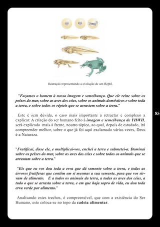Ilustração representando a evolução de um Reptil.


  "Façamos o homem à nossa imagem e semelhança. Que ele reine sobre os
peixes do mar, sobre as aves dos céus, sobre os animais domésticos e sobre toda
a terra, e sobre todos os répteis que se arrastem sobre a terra."

 Este é sem dúvida, o caso mais importante a retractar e complexo a               85
explicar. A criação do ser humano feito à imagem e semelhança de YHWH,
será explicado mais à frente, noutro tópico, ao qual, depois de estudado, irá
compreender melhor, sobre o que já foi aqui exclamado várias vezes, Deus
é a Natureza.


"Frutificai, disse ele, e multiplicai-vos, enchei a terra e submetei-a. Dominai
sobre os peixes do mar, sobre as aves dos céus e sobre todos os animais que se
arrastam sobre a terra."

 "Eis que eu vos dou toda a erva que dá semente sobre a terra, e todas as
árvores frutíferas que contêm em si mesmas a sua semente, para que vos sir-
vam de alimento. E a todos os animais da terra, a todas as aves dos céus, a
tudo o que se arrasta sobre a terra, e em que haja sopro de vida, eu dou toda
erva verde por alimento."

Analisando estes trechos, é compreensível, que com a existência do Ser
Humano, este coloca-se no topo da cadeia alimentar.
 