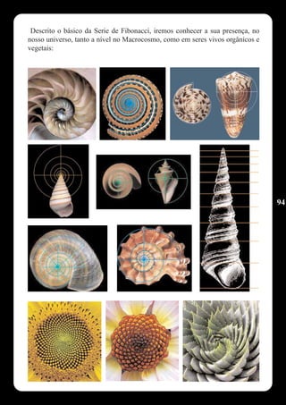 Descrito o básico da Serie de Fibonacci, iremos conhecer a sua presença, no
nosso universo, tanto a nível no Macrocosmo, como em seres vivos orgânicos e
vegetais:




                                                                               94
 