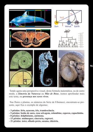 96




 Tendo agora uma perspectiva visual, desta formula matemática, ou de outro
modo, a Simetria da Natureza ou Mão de Deus, iremos aprofundar mais
este tema, na presença nos seres vivos.

 Nas flores e plantas, os números da Serie de Fibonacci, encontram-se pre-
sente, aqui fica o exemplo de algumas:

- 3 pétalas: lírio, açucena, íris, trandescância.
- 5 pétalas: botão de ouro, rosa selvagem, columbine, esporas, capuchinha.
- 8 pétalas: delphiniums, anémona.
- 13 pétalas: malmequer, cineraria, ragwort.
- 21 pétalas: áster, olhado preto, susana, chicória.
 