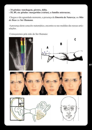 - 34 pétalas: tanchagem, píretro, dália.
- 55, 89, etc pétalas: margaridas (várias), a família asteraceae,

Chegou o tão aguardado momento, a presença da Simetria da Natureza, ou Mão
de Deus no Ser Humano.

A presença deste conceito matemático, encontra-se nas medidas das nossas artic-
ulações.

Começaremos pela mão do Ser Humano:




                                                                                  97
 