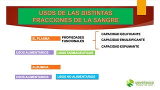 EL PLASMA PROPIEDADES
FUNCIONALES
CAPACIDAD ESPUMANTE
CAPACIDAD EMULSIFICANTE
CAPACIDAD GELIFICANTE
USOS ALIMENTARIOS USOS FARMACEUTICOS
ALBUMINA
USOS ALIMENTARIOS USOS NO ALIMENTARIOS
 