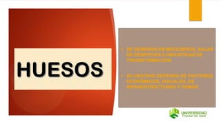  SE GENERAN EN MATADEROS, SALAS
DE DESPIECES E INDUSTRIAS DE
TRANSFORMACIÓN
 SU DESTINO DEPENDE DE FACTORES
ECONÓMICOS, SOCIALES, DE
INFRAESTRUCTURAS Y DEMÁS
 