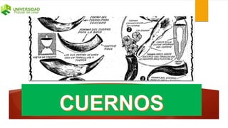 Aprovechamiento de la sangre