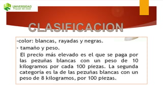 Aprovechamiento de la sangre