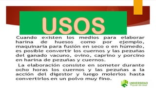 Aprovechamiento de la sangre