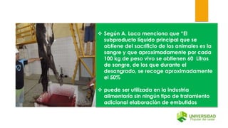  Según A. Laca menciona que “El
subproducto líquido principal que se
obtiene del sacrificio de los animales es la
sangre y que aproximadamente por cada
100 kg de peso vivo se obtienen 60 Litros
de sangre, de los que durante el
desangrado, se recoge aproximadamente
el 50%
 puede ser utilizada en la industria
alimentaría sin ningún tipo de tratamiento
adicional elaboración de embutidos
 