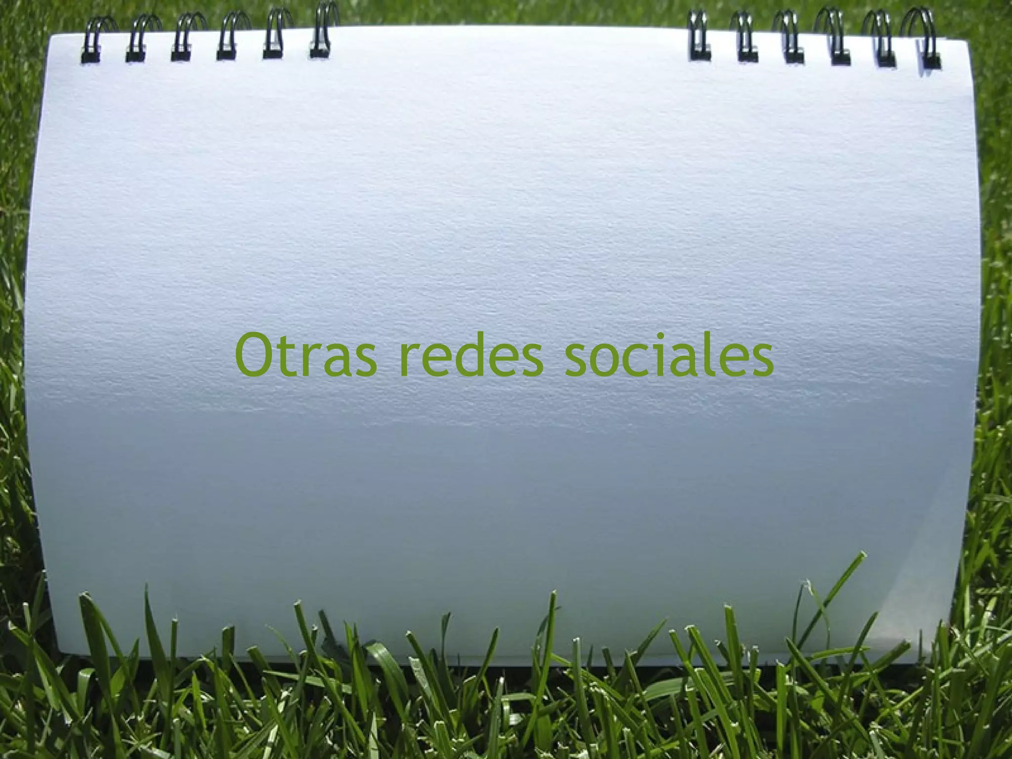 Otras redes sociales