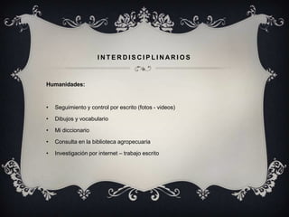 INTERDISCIPLINARIOS



Humanidades:



•   Seguimiento y control por escrito (fotos - videos)

•   Dibujos y vocabulario

•   Mi diccionario

•   Consulta en la biblioteca agropecuaria

•   Investigación por internet – trabajo escrito
 