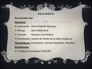 RECURSOS
Sus fuentes son:
Humanos:
 capacitador : David Rolando Mayorga
 Biólogo:     Jairo Valderrama
 Docente:     Rosaura Coca Molina
 Estudiantes y padres de familia de la sede Guatancuy
Tecnológicos: Computador, Cámara fotográfica, filmadora.
Económicos:
 Fundación humedales $ 200.000
 