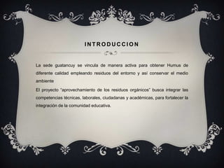INTRODUCCION


La sede guatancuy se vincula de manera activa para obtener Humus de
diferente calidad empleando residuos del entorno y así conservar el medio
ambiente

El proyecto “aprovechamiento de los residuos orgánicos” busca integrar las
competencias técnicas, laborales, ciudadanas y académicas, para fortalecer la
integración de la comunidad educativa.
 