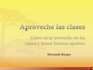 Cómo sacar provecho de las
clases y tomar buenos apuntes
Hernando Burgos
 