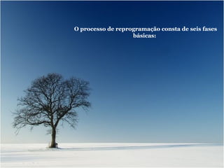 O processo de reprogramação consta de seis fases básicas:   