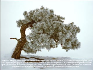 A frase "O que pensarão de mim" não resiste a outras como "Evito fazer suposições que são apenas projeção dos meus complexos e histórias pessoais. Deixem-nos pensarem o que quiserem. Faço coisas que são bem recebidas pelos outros. Sou único no Universo, diferente de todos os demais e, portanto, tenho de ser eu mesmo".  