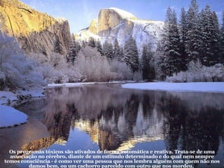 Os programas tóxicos são ativados de forma automática e reativa. Trata-se de uma associação no cérebro, diante de um estímulo determinado e do qual nem sempre temos consciência - é como ver uma pessoa que nos lembra alguém com quem não nos damos bem, ou um cachorro parecido com outro que nos mordeu.  