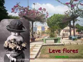 Leve flores 