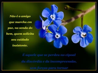 Não é o amigo

 que marcha em

 paz, na senda do

bem, quem solicita

   seu cuidado

    insistente.


           É aquele que se perdeu no cipoal

          da discórdia e da incompreensão,

                  sem forças para tornar
 