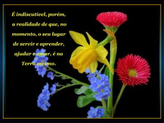 É indiscutível, porém,

a realidade de que, no

momento, o seu lugar

de servir e aprender,

 ajudar e amar, é na

   Terra mesmo.
 