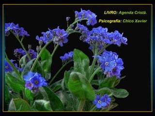 LIVRO: Agenda Cristã.

Psicografia: Chico Xavier
 