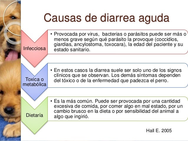 El dolor torpe en el lado izquierdo de los riñones detrás