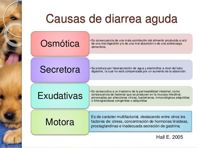 Los ejercicios a la hernia sheynogo del departamento de la columna vertebral para casa