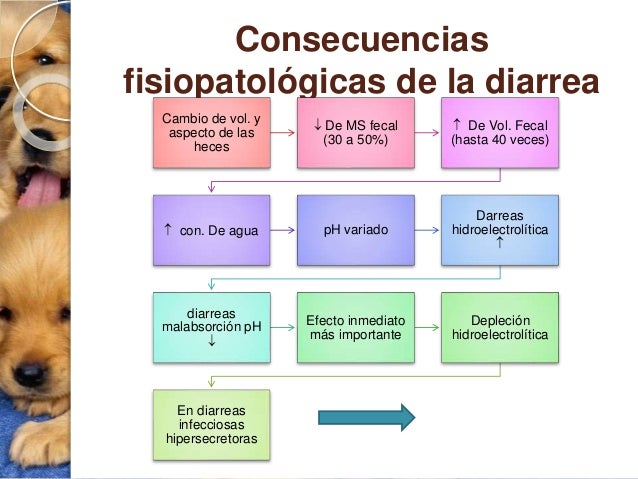 Al dolor en la espalda da en el pie que hacer