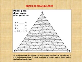 GRÁFICOS TRIANGULARES Se emplean para representar, en porcentajes, fenómenos que afectan a tres variables posibles. El punto en el que se cruzan las tres líneas indica cual es la situación real. 