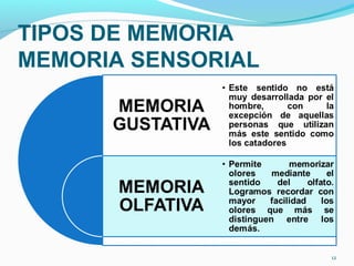 TIPOS DE MEMORIA
MEMORIA SENSORIAL
12
 