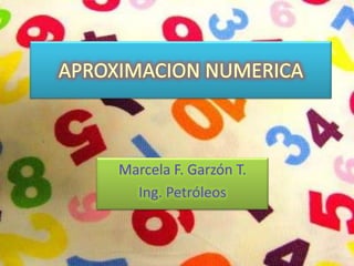 APROXIMACION NUMERICA Marcela F. Garzón T. Ing. Petróleos 