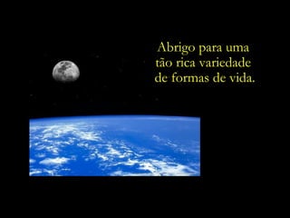 Abrigo para uma  tão rica variedade  de formas de vida. 