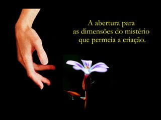 A abertura para
as dimensões do mistério
  que permeia a criação.
 